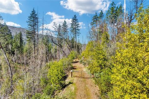 Photo of 12061 Gifford Springs Road, Cobb, CA 95426 (MLS # LC26053167)