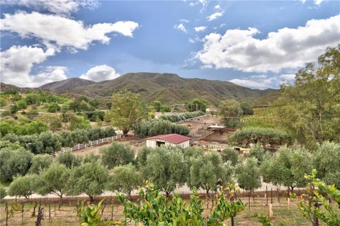 Tiny photo for 45115 Los Caballos Road, Temecula, CA 92592 (MLS # SW26229612)