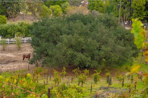 Tiny photo for 45115 Los Caballos Road, Temecula, CA 92592 (MLS # SW26229612)