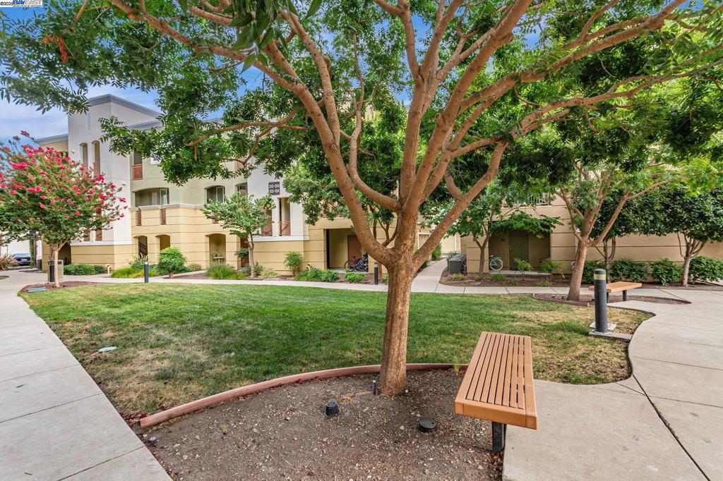 4720 Norris Canyon Rd 206