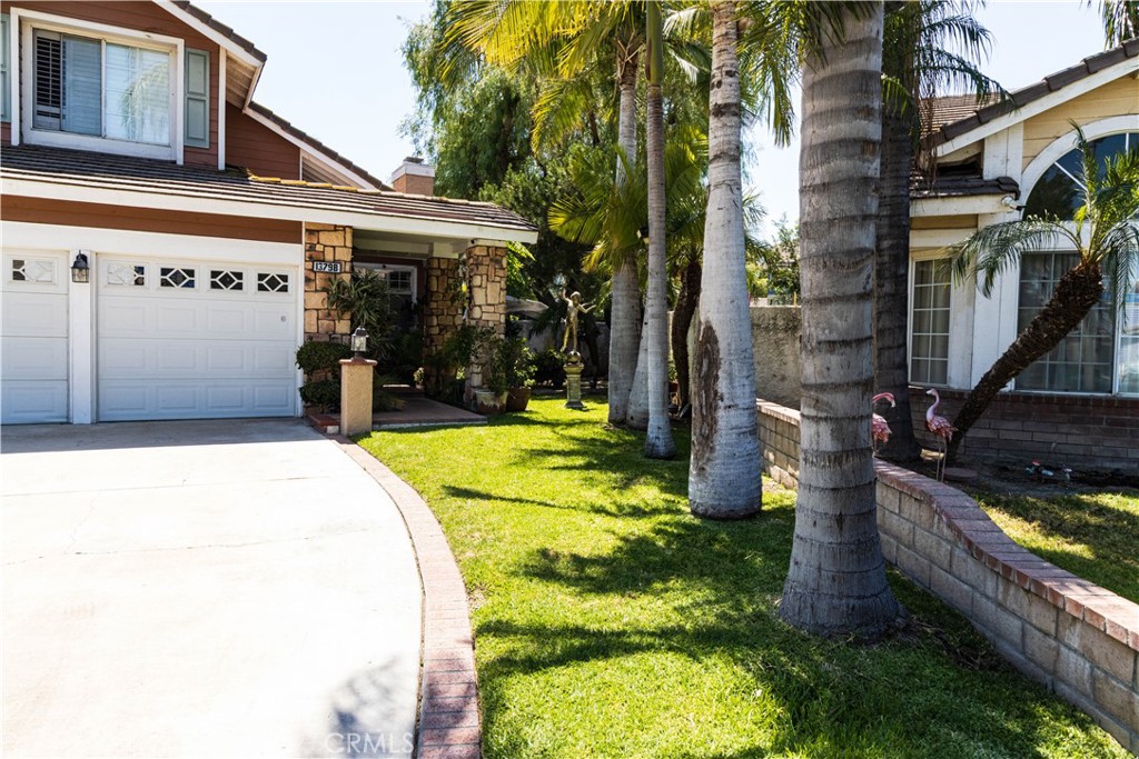 13798 Live Oak