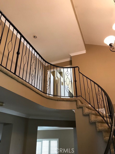 13798 Live Oak