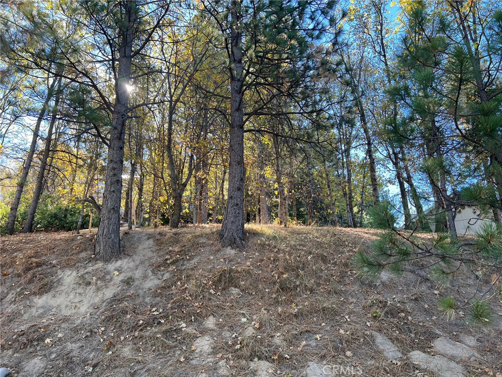 Enchanted Forest (ENFR) - Land