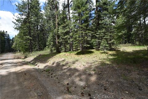0 Fumarole Ct Court McCloud CA 96057