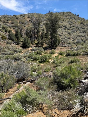 KENNEDY MEADOWS RD, INYOKERN, CA 93527 - Image b377e5811c6f96dfaae2fc14b6f3bd3e/2692373656