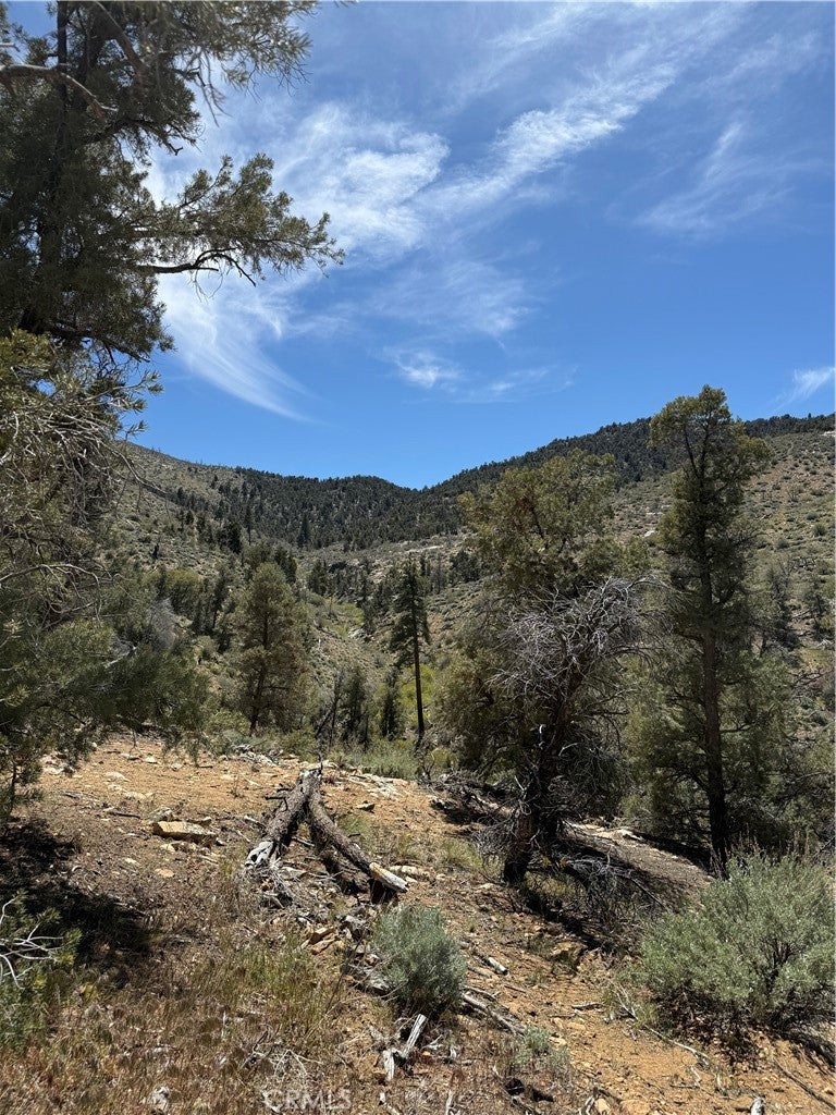 0 310-040-017 Pine Creek Valley Road