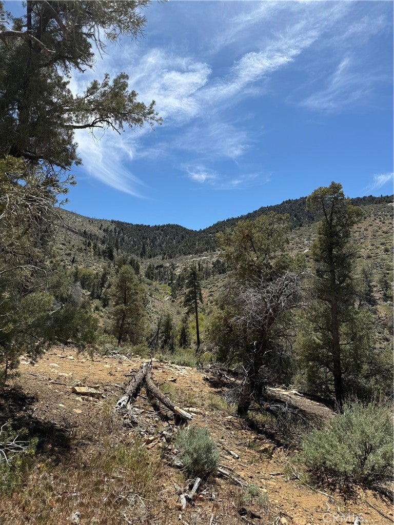 0 310-040-017 Pine Creek Valley Road