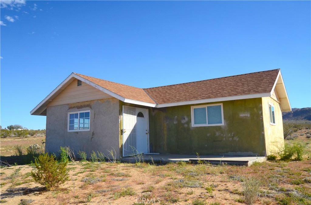 51033 Joshua Tree