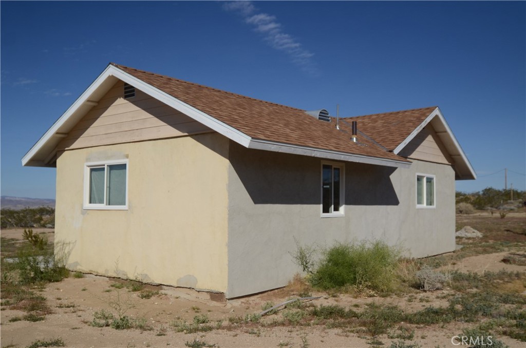 51033 Joshua Tree
