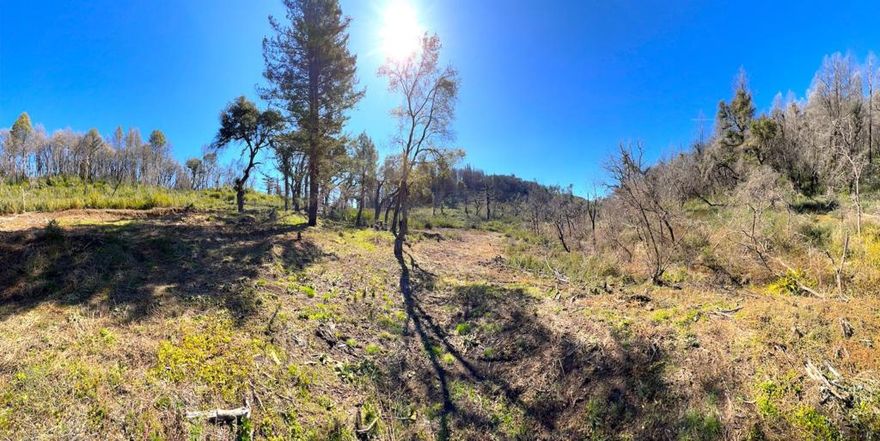 This beautiful 10 acre swath of gentle land is like a small valley of paradise. While still recovering from the fire, its clear that the flora and fauna are making a strong comeback. Fantastic sun with south and west exposure. Great access on Empire Grade Road. Awesome frontage along San Vicente Creek, which which meanders along the western property boundary. On the other side of the creek and adjacent to this property, newly formed San Vicente Redwoods preserve is right at your future doorstep. Existing strong well produced 13 gallons per minute in a recent test. Easy access to power at the street. This is also a wonderful opportunity for solar power and other sustainable building features. The potential of this property is almost overwhelming! Price reduction reflects the need for a new septic system, likely engineered.