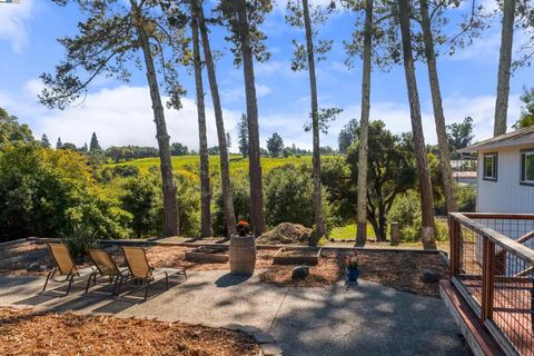 Photo of 2103 W Peachland Ave Ave, Sebastopol, CA 95472 (MLS # 41115814) Photo of 2103 W Peachland Ave Ave, Sebastopol, CA 95472 (MLS # 41115814)