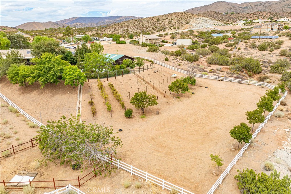 Custom Acton (CACTO) - Residential