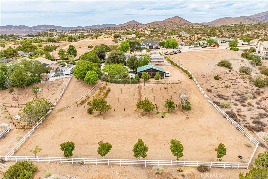 Custom Acton (CACTO) - Residential