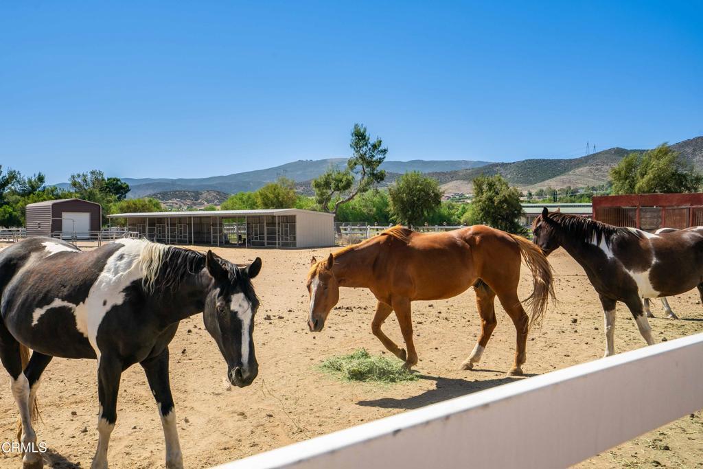 Sierra Colony - Residential
