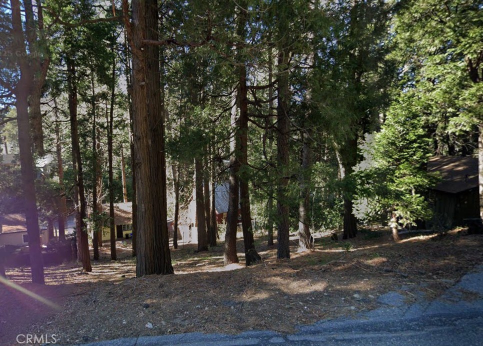 0 Crest Forest