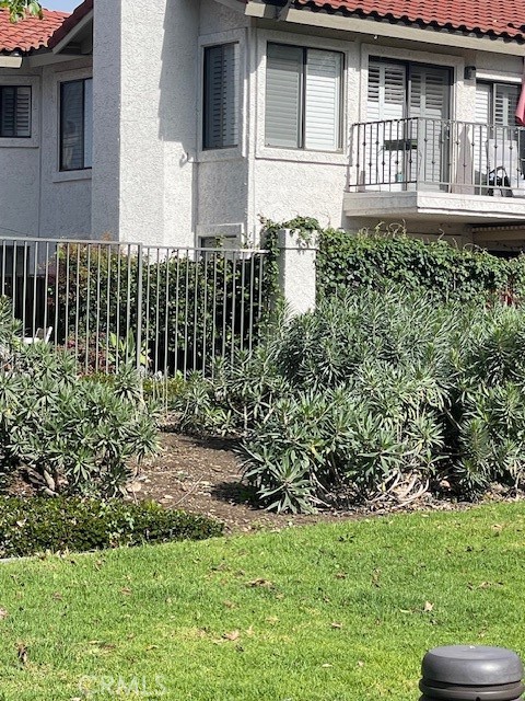 25 Palmera