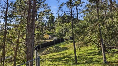 Tiny photo for 5 Arriba Drive, Aromas, CA 95004 (MLS # ML82037625)