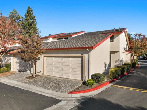 2051 Holly Branch Court Santa Clara CA 95050