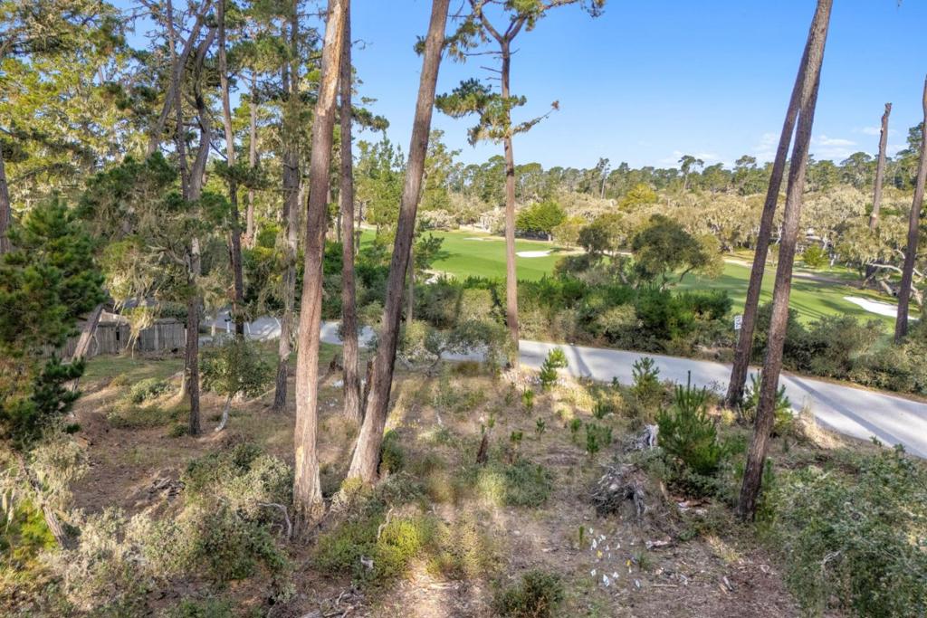 2901 Bird Rock Road