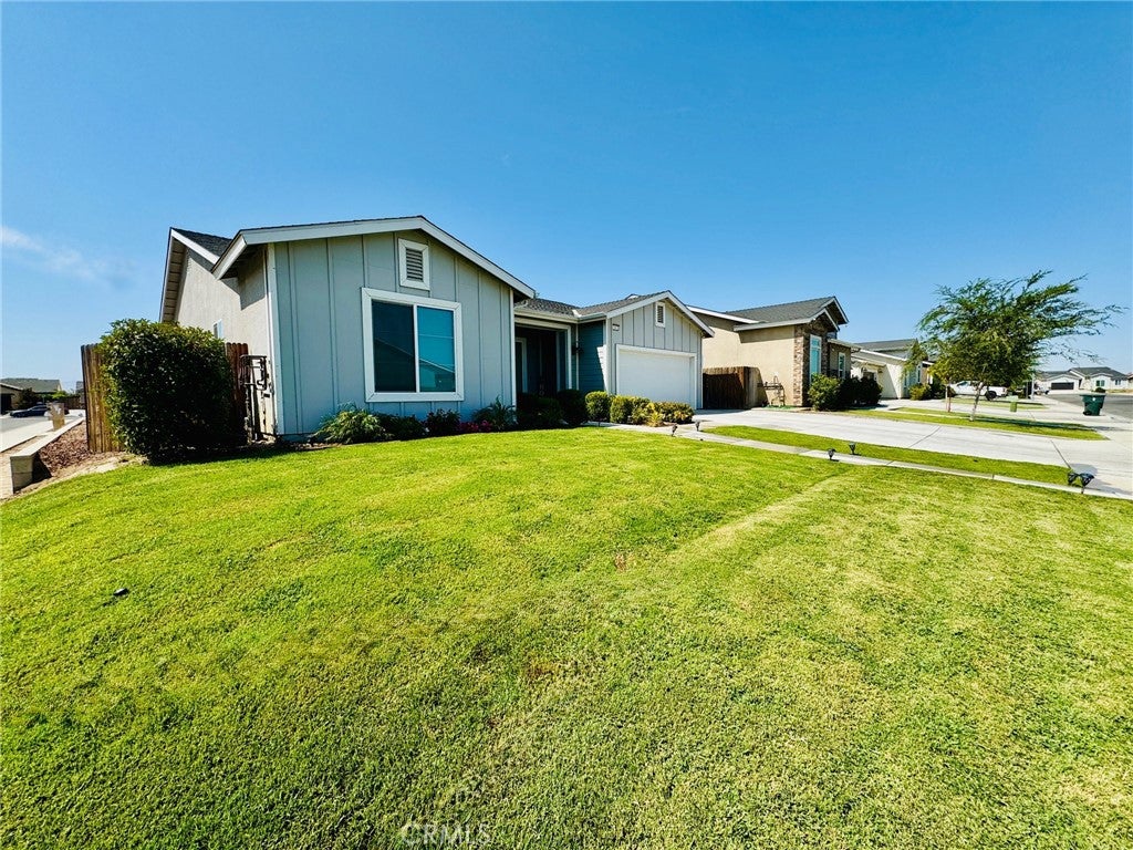 5803 Hawthorn Tree