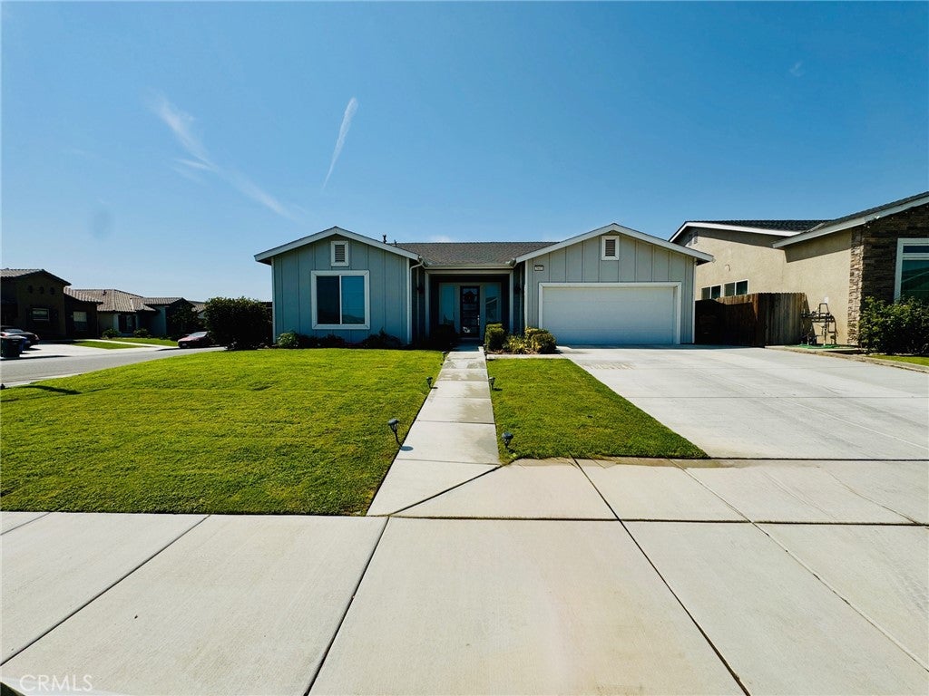 5803 Hawthorn Tree