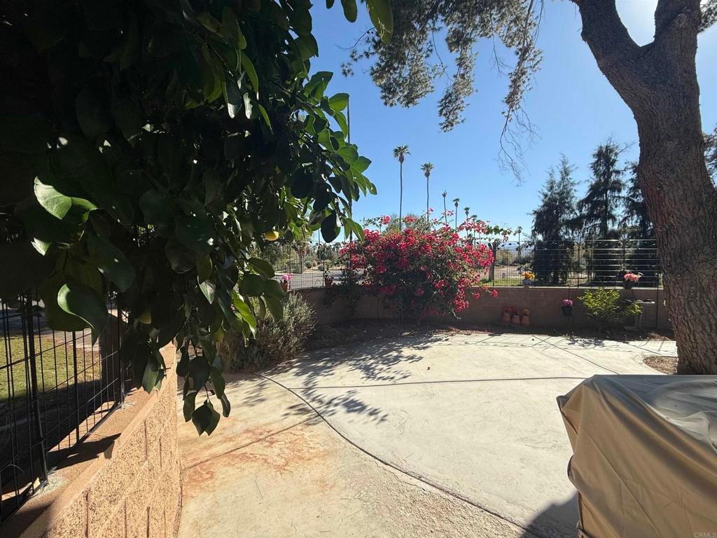 1010 Palm Canyon Drive 324