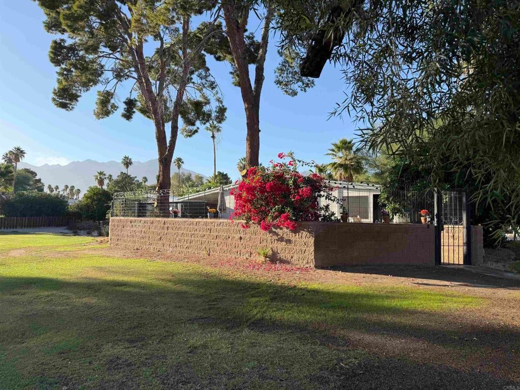 1010 Palm Canyon Drive 324