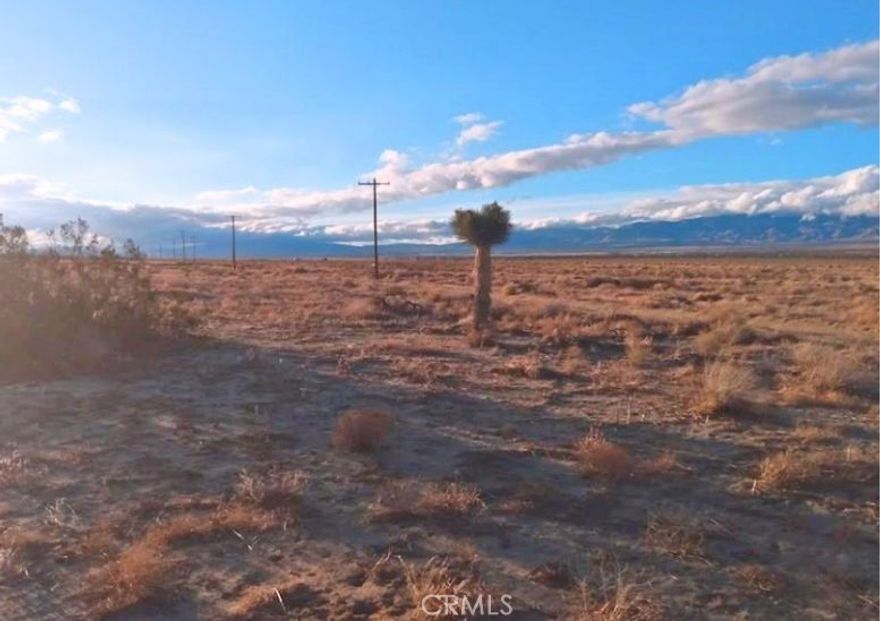 Welcome to the captivating opportunity of Ave B Vic 193 Stw, Fairmont, CA 93536! This vacant lot, boasting an impressive size of 92,434 square feet (2.12 acres), presents an incredible canvas for your dreams to unfold. Nestled within the beautiful landscape of Los Angeles County, this property offers a serene rural setting, ideal for agricultural pursuits or creating your own personal haven. The land is zoned LCA12*, allowing for a variety of potential uses and giving you the freedom to explore your vision. With picturesque views and endless possibilities, this vacant land is your gateway to a world of imagination. The motivated seller is ready to make a deal, presenting a fantastic opportunity to acquire this remarkable property. Please note that all information is deemed reliable but not guaranteed. Buyers are advised to verify all details to their satisfaction. Don't miss this opportunity to make your mark on this enchanting slice of Fairmont, California. Elevate your dreams with this exceptional vacant land offering.