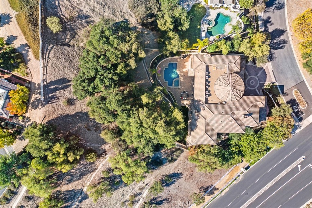 Forest (TF) - Residential Lease