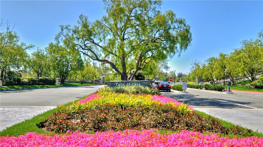 Forest (TF) - Residential Lease