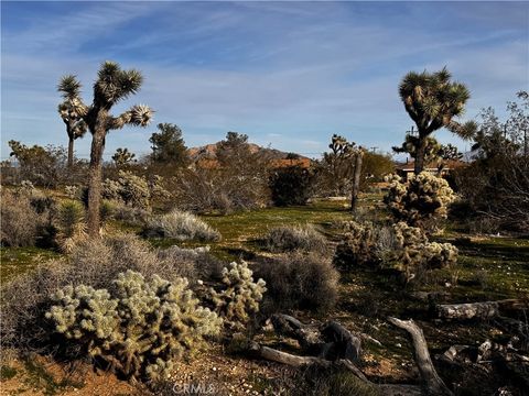 Photo of 0 Camarilla Avenue, Yucca Valley, CA 92284 (MLS # JT26017958)