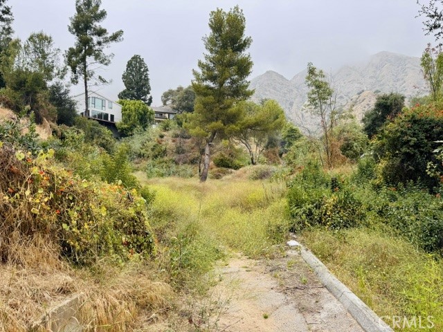 333 Wistaria Way