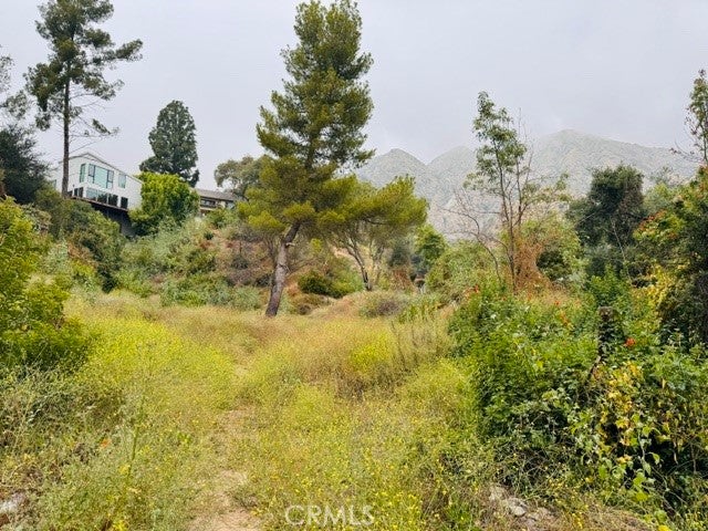 333 Wistaria Way