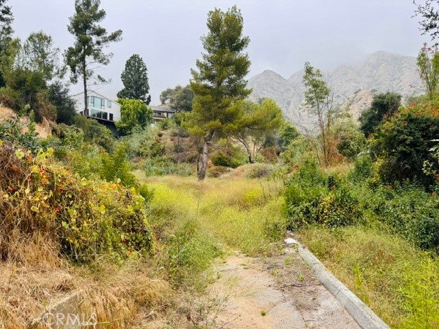 333 Wistaria Way