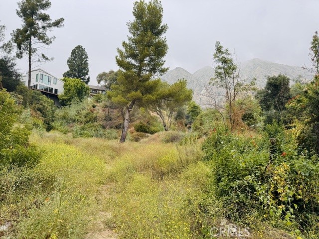 333 Wistaria Way