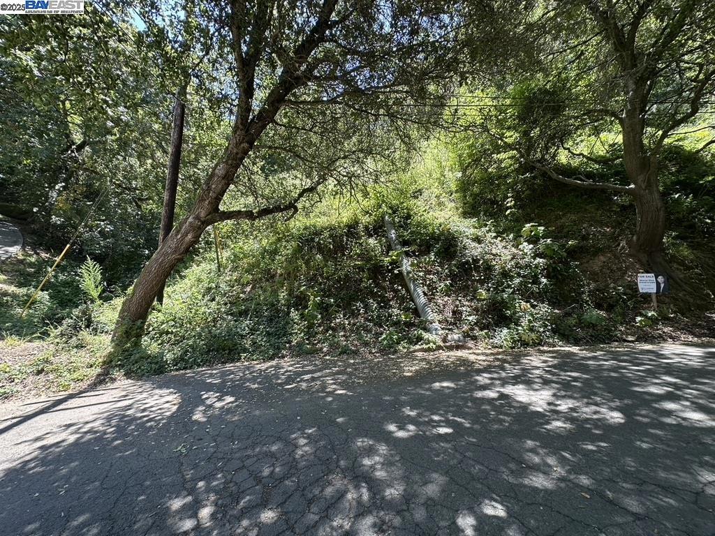 Beautiful upward sloping lot in Oakland featuring trees and shrubs and with the potential to build a dream home with amazing views. Front of lot is viewed from Chelton. Private location. Don't miss this great opportunity.