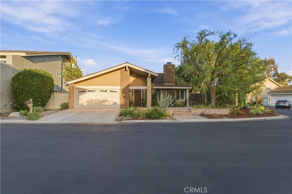 5041 Corkwood