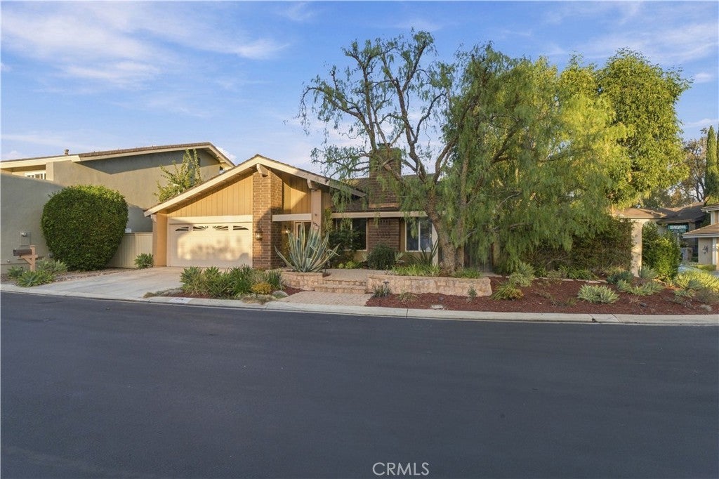 5041 Corkwood