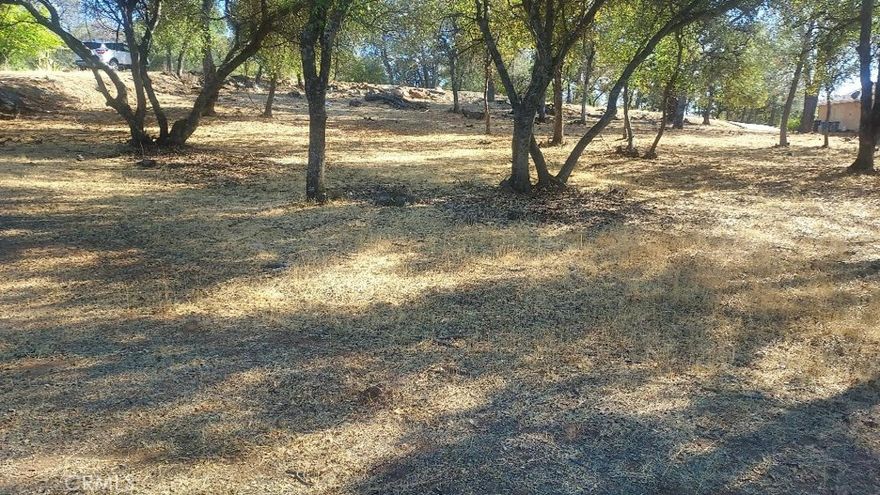 Nice lot across from 315 Lodgeview to the north and across from 312 Lodgeveiw to the east.  It is next to a vacant lot on the corner of Lodgeview and Hillcrest.  Approximately 101 ft. wide x 170 ft. deep.