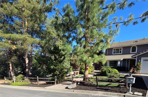 14395 Amorose Lake Elsinore CA 92530