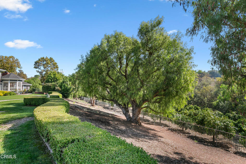 Lexington Hills - 288008 - Residential