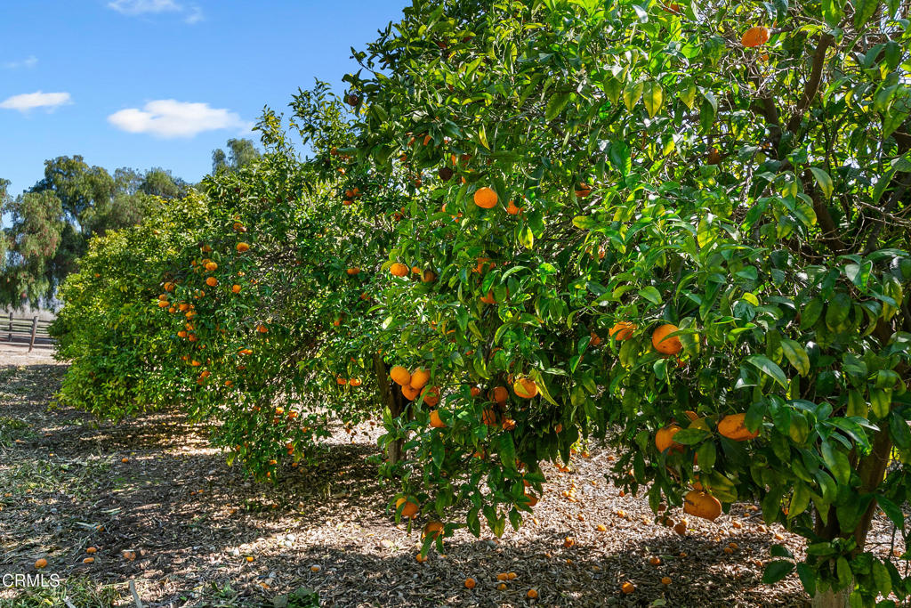 Lexington Hills - 288008 - Residential