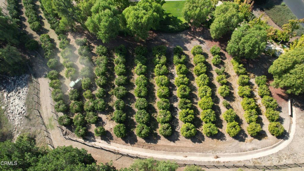 Lexington Hills - 288008 - Residential