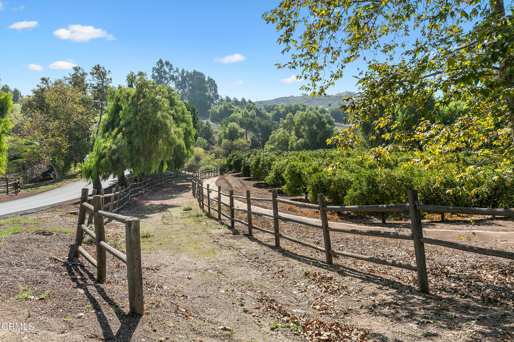 Lexington Hills - 288008 - Residential