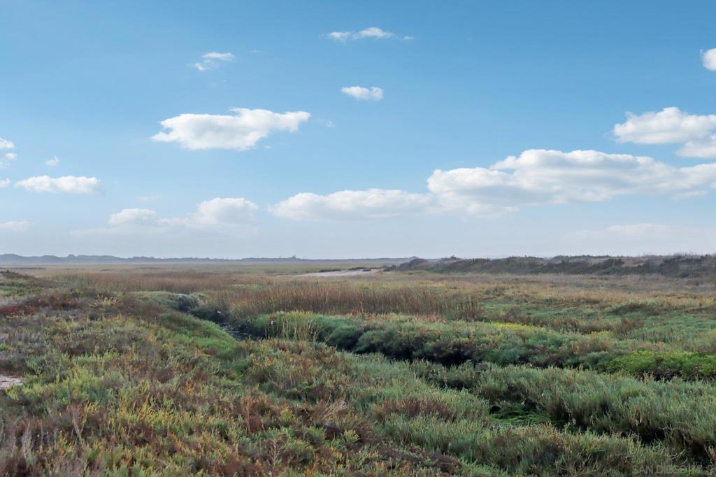 Imperial Beach - Residential