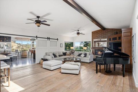 734 Avocado Ct Del Mar CA 92014