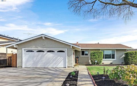 Photo of 2449 Almaden Blvd Blvd, Union City, CA 94587 (MLS # 41134665)