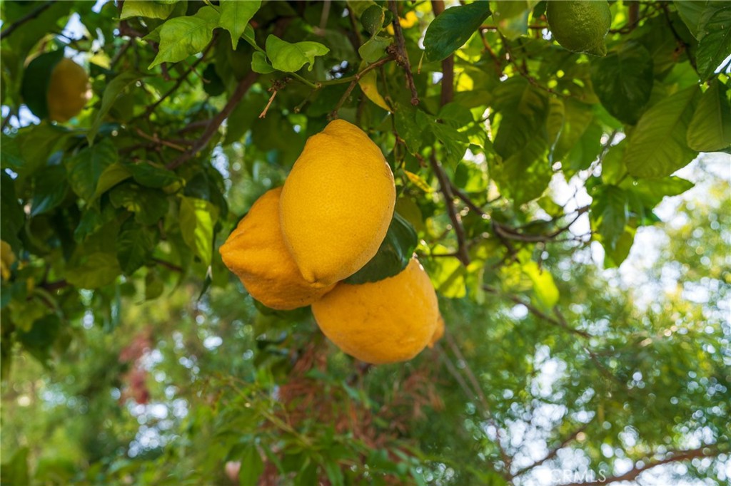 Almeria (AL) - Residential