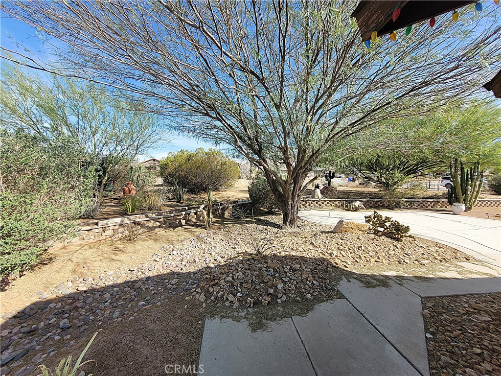23677 Cahuilla