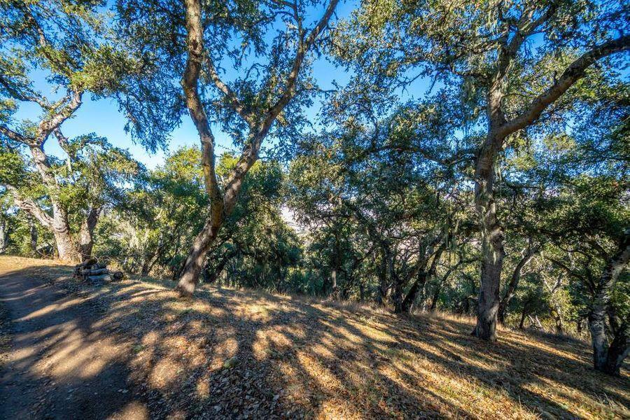 17114 Cachagua Road